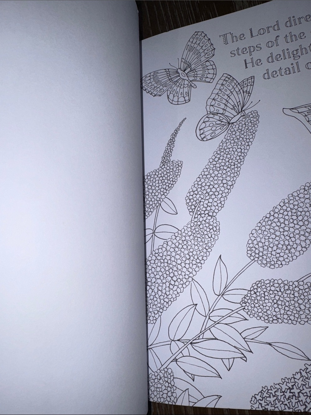 Amazing Grace Adult Coloring Book - Picture 5 of 5